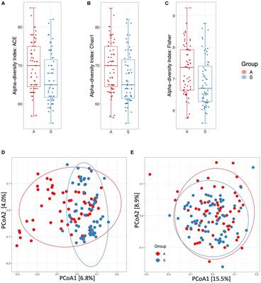 Frontiers | Impact of active lifestyle on the primary school 